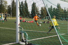 Antsa ampuu